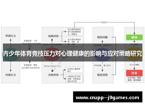 青少年体育竞技压力对心理健康的影响与应对策略研究 青少年体育竞技压力对心理健康的影响与应对策略研究
