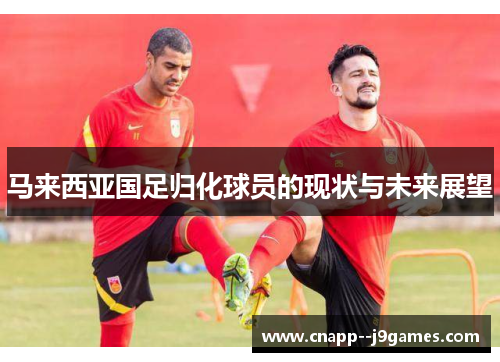 马来西亚国足归化球员的现状与未来展望 马来西亚国足归化球员的现状与未来展望